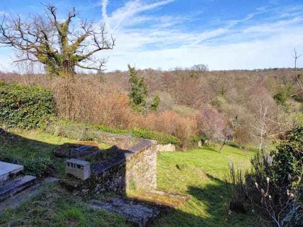 Scenic countryside landscape with trees and blue sky.