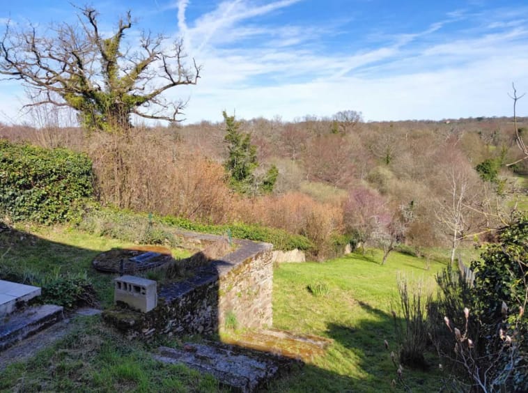 Scenic countryside landscape with trees and blue sky.
