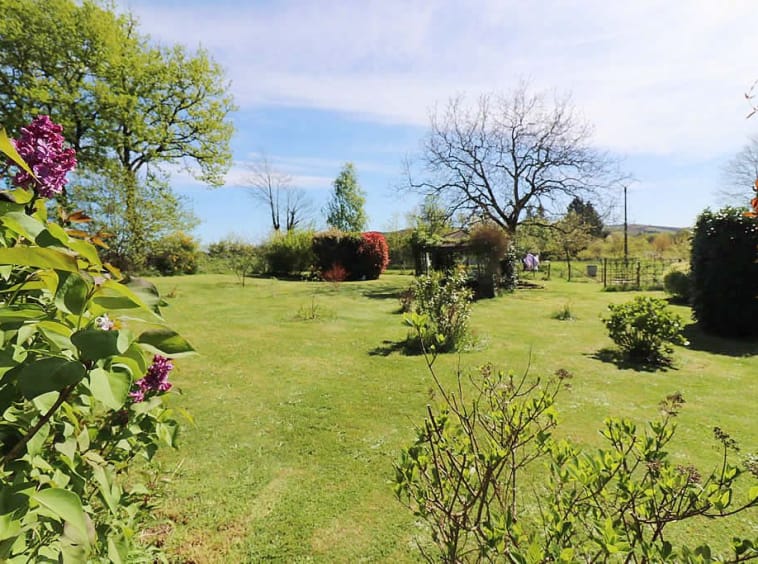 Spacious garden with trees and shrubs under blue sky.