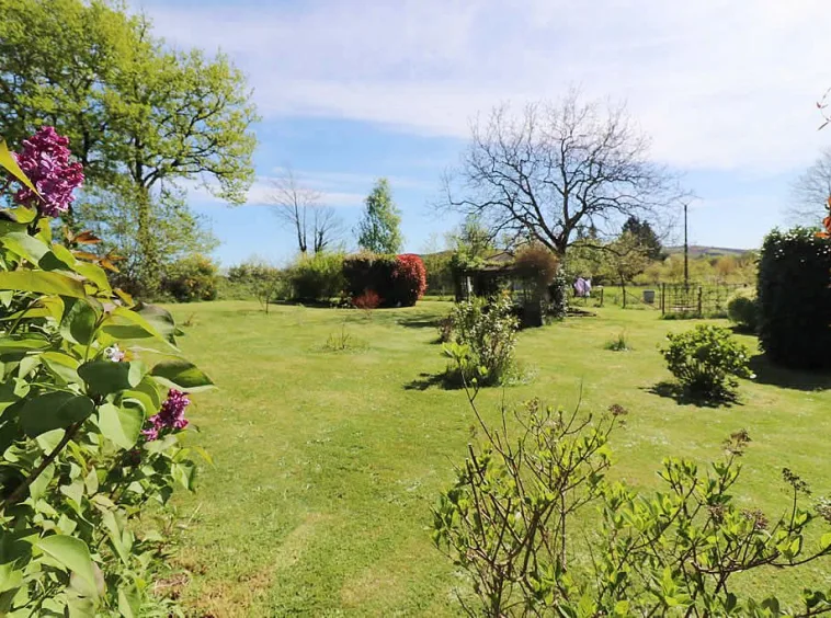 Spacious garden with trees and shrubs under blue sky.