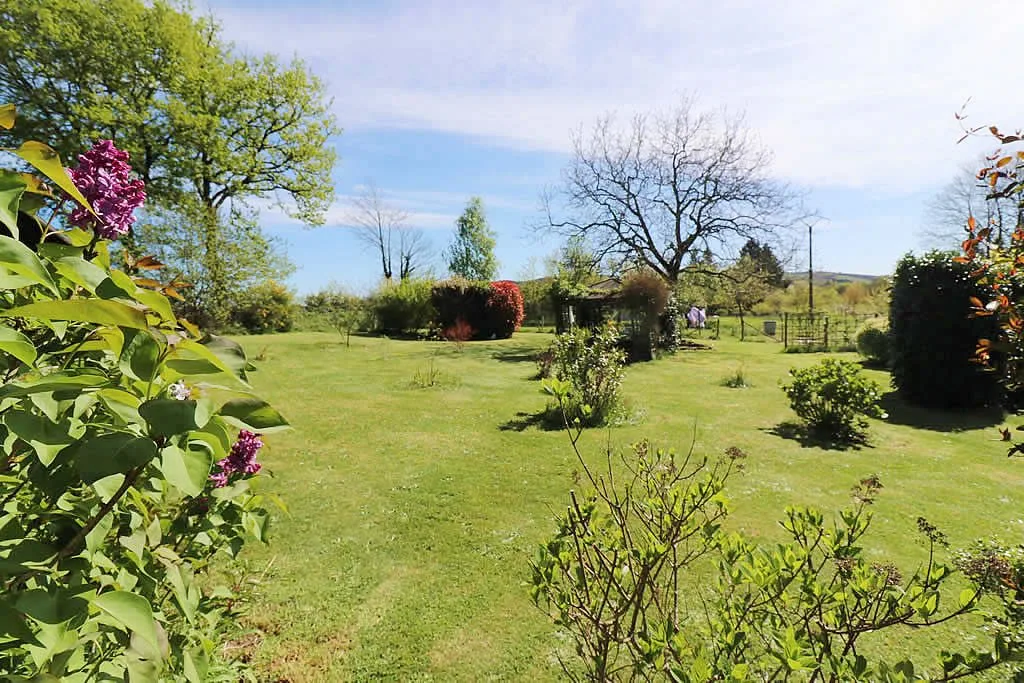 Spacious garden with trees and shrubs under blue sky.