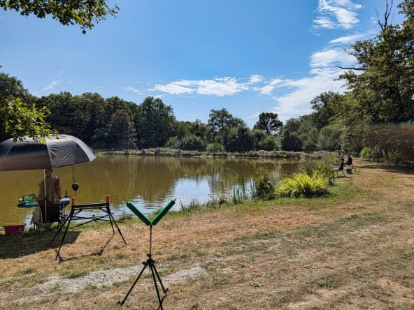People fishing by a calm lake on sunny day.