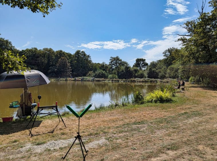 People fishing by a calm lake on sunny day.