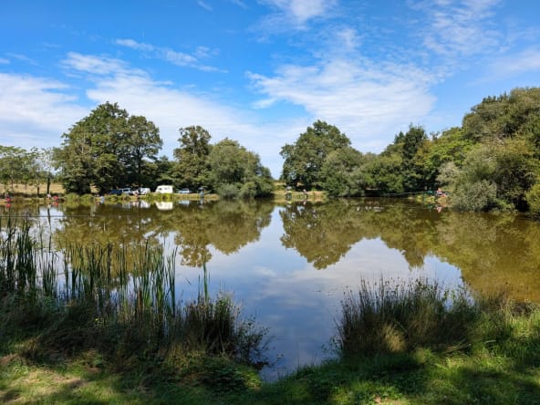 Peaceful lake with trees and reflections.