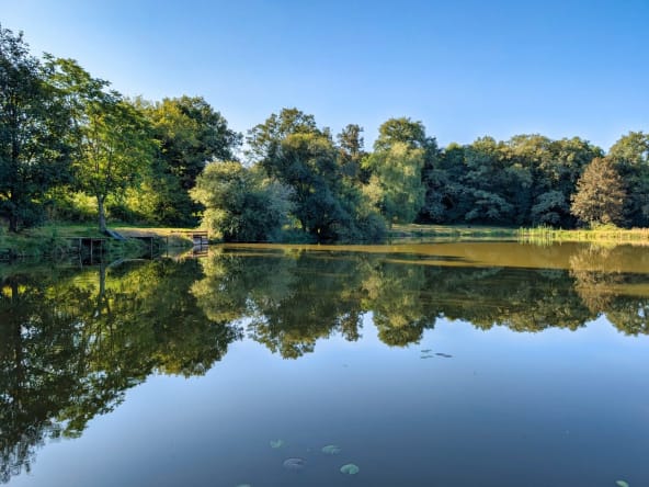 Serene lake surrounded by lush green trees.