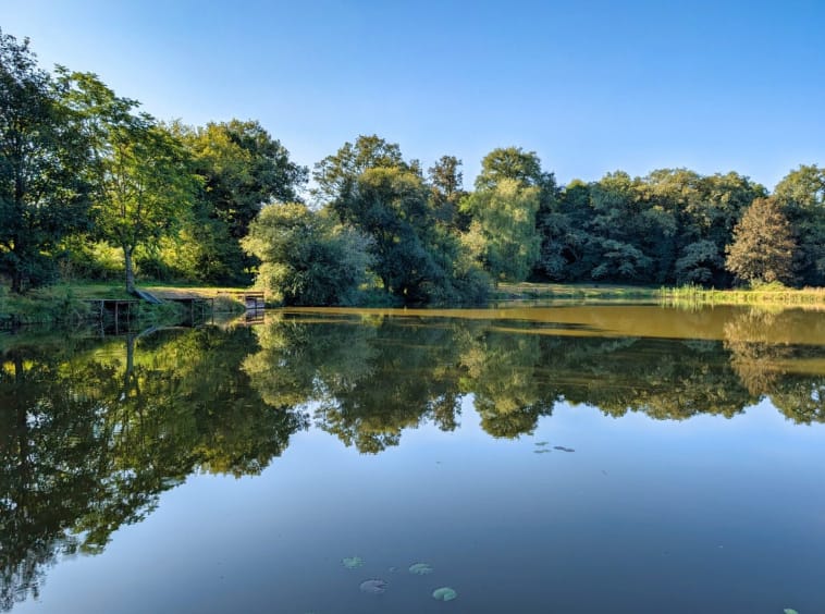 Serene lake surrounded by lush green trees.