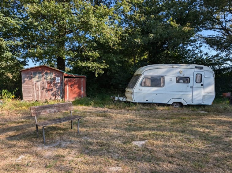 Caravan beside wooden shed in forest clearing.