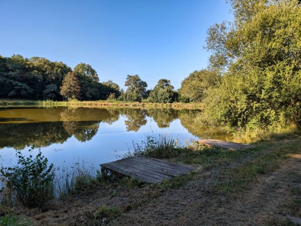 Serene lake surrounded by lush trees and sky.