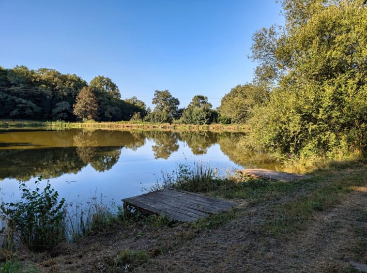 Serene lake surrounded by lush trees and sky.