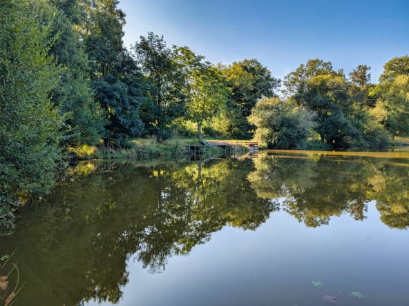 Serene lake surrounded by lush green trees.