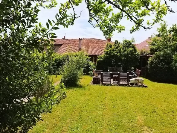 Sunny garden with outdoor seating area.